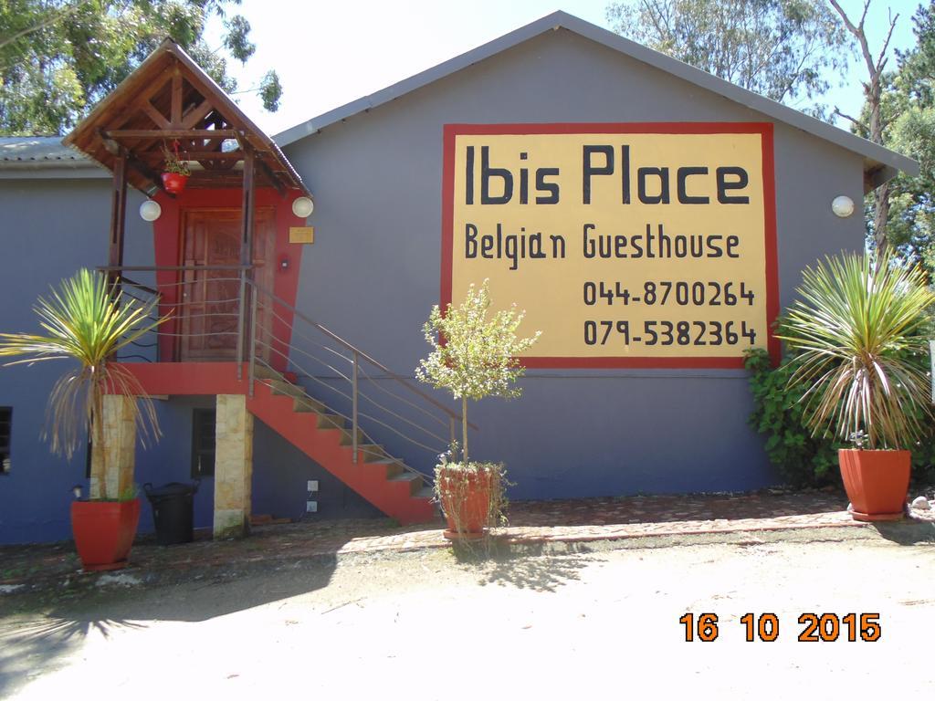 Ibis Place Guest House George Oda fotoğraf